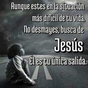 Meet your Posher, Rosa